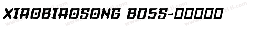 XIAOBIAOSONG B05S字体转换